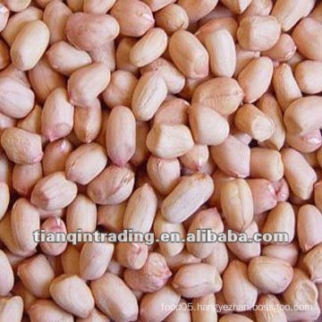 Shandong Peanut Kernel Exporter